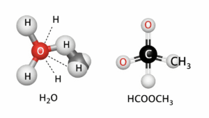 Understanding HCOOCH and H2O Structures